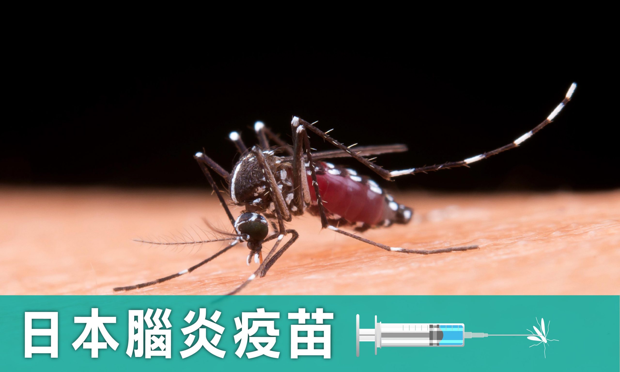 日本腦炎疫苗