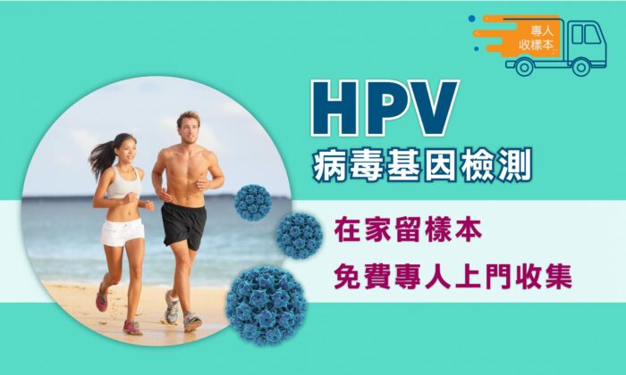 hpv 病毒