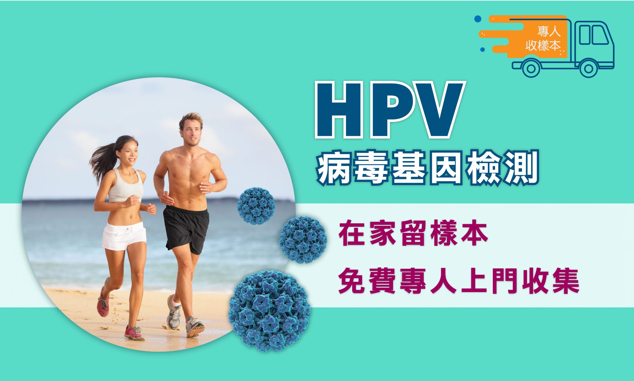 hpv 病毒