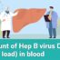HBV