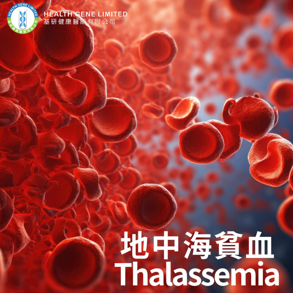 地中海貧血 Thalassemia