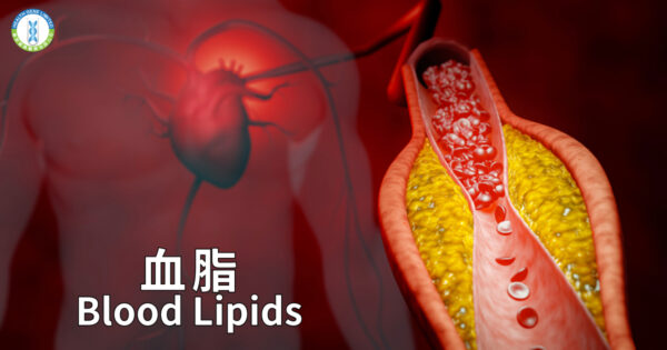 Blood Lipids