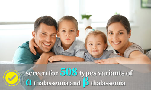 508 Thalassemia Gene Test