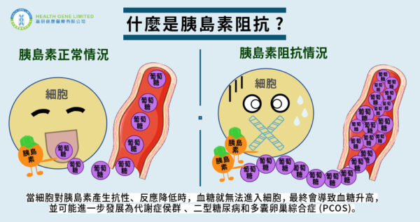 什麼是胰島素？