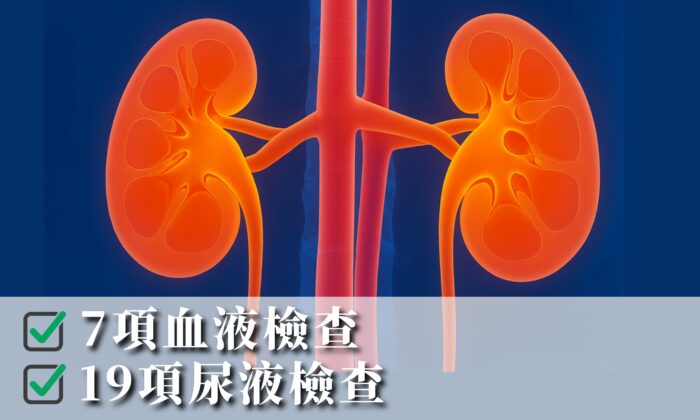 Renal Function Test