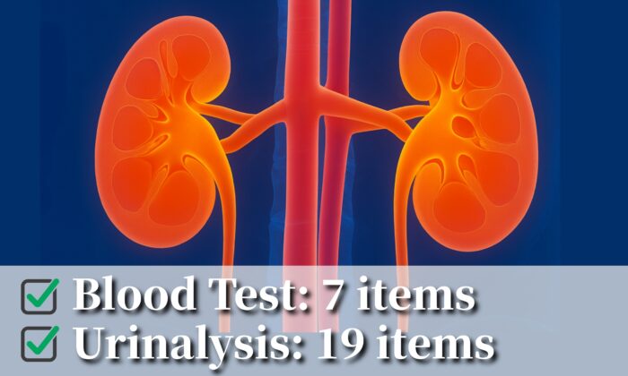 Renal Function Test